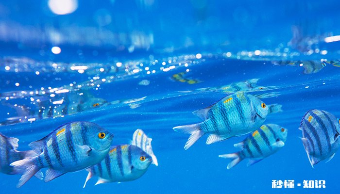 寒霜降的含义 寒霜的含义是什么意思