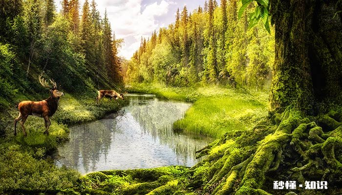 植物纤维是什么面料 再生植物纤维是什么面料