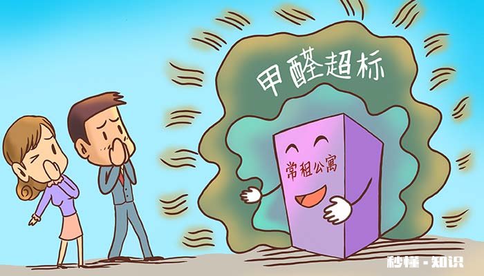 竹炭包能吸甲醛吗 活性竹炭包能吸甲醛吗