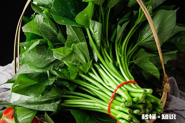 红薯叶哪三类人不能吃 红薯叶的功效与作用