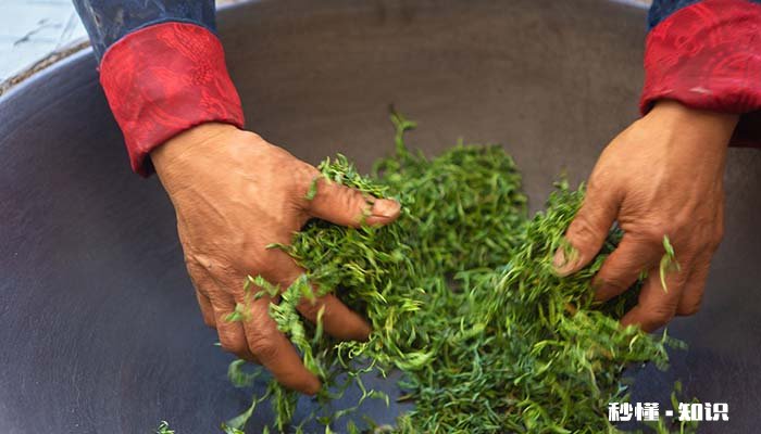 蒙顶甘露的品质特点 蒙顶甘露的品质特点外形紧卷多毫,色泽油润