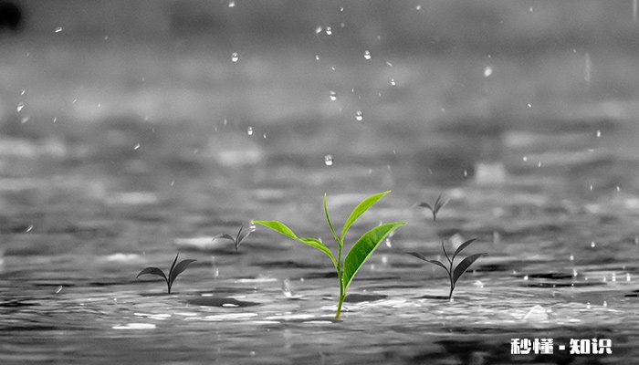 霜降穿什么衣服 霜降穿什么衣服保暖