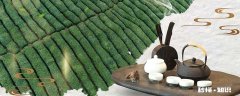 蒸青绿茶的品质特征 蒸青突显了绿茶的三绿特征