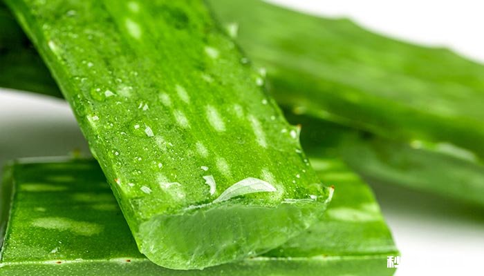 芦荟胶怎么选 芦荟胶怎么选真的假的