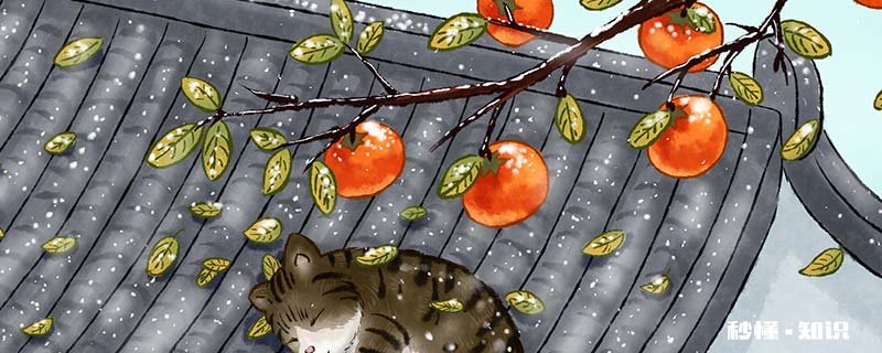 霜降要吃柿子吗 霜降要吃柿子吗