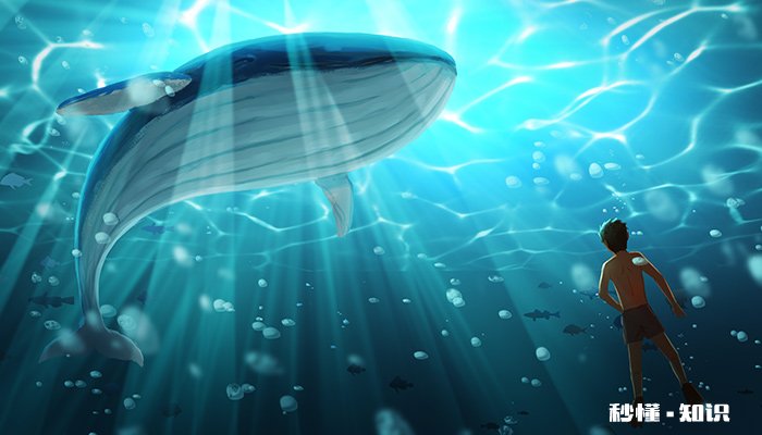 海绵是一种动物吗 海绵是什么动物