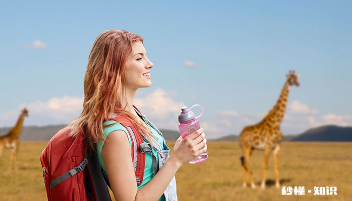 长颈鹿的介绍和特点 长颈鹿的介绍和特点3分钟