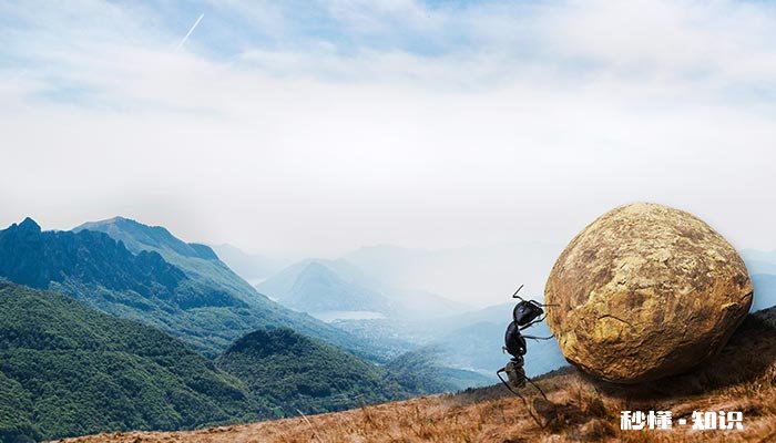 蚂蚁分类 蚂蚁有几种