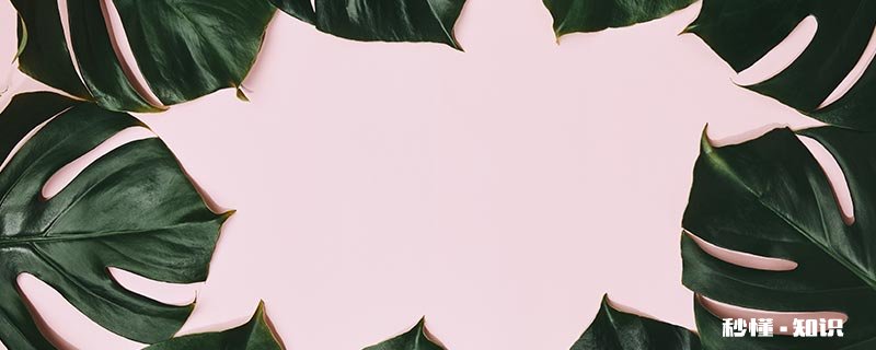 龟背竹如何修剪根部 龟背竹怎么修剪图解