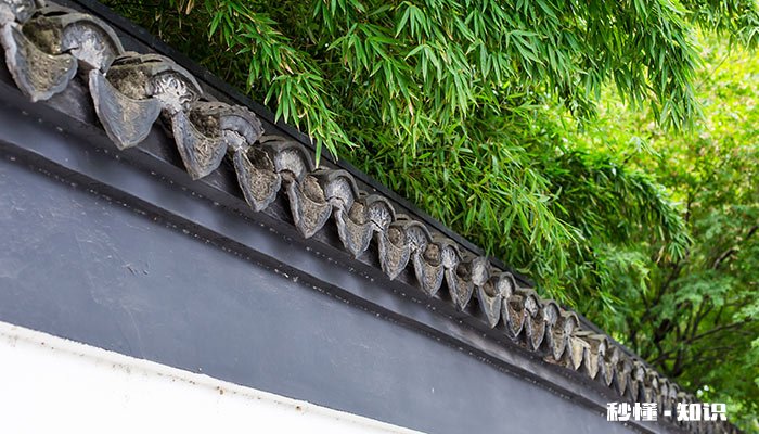 竹子的外形特征 竹子的外形特征描写