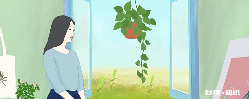 植物传播种子的方法 植物传播种子的方法很多,除了靠人的采摘以外