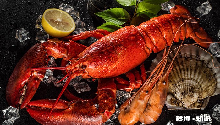 虾是昆虫吗 虾是昆虫吗还是动物