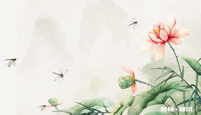 蜻蜓长什么样 蜻蜓长什么样子有没有毒