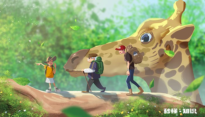 长颈鹿的特点 长颈鹿图片