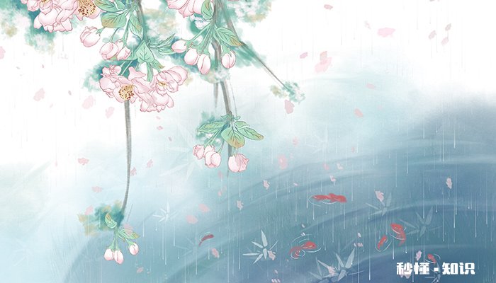 介花籽是什么植物 芍药花籽是什么样子的