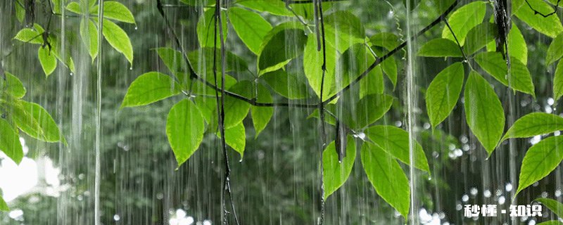 霜降后的温度 霜降后的温度纸嫁衣