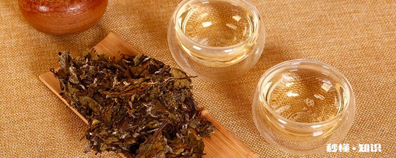 白茶冲泡方法步骤 白茶怎么泡才正确方法