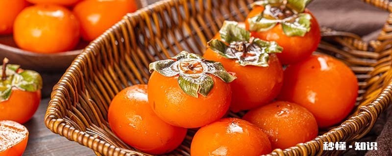 霜降是怎么回事 霜降降阴是怎么回事