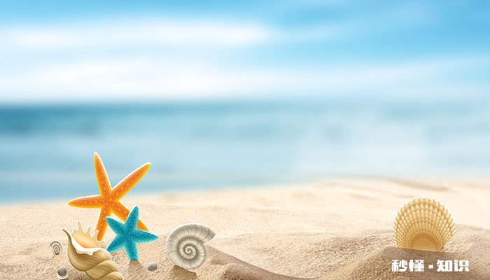 海星属于什么类动物 什么动物以海星为食