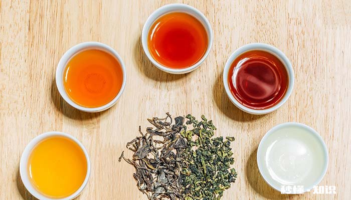 茶壶是什么 陶壶和紫砂壶哪个泡茶好