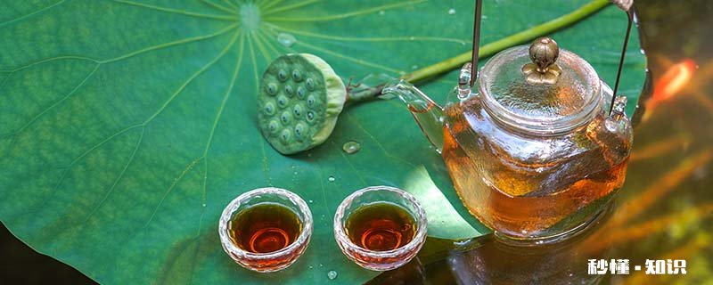 茶壶是什么 陶壶和紫砂壶哪个泡茶好