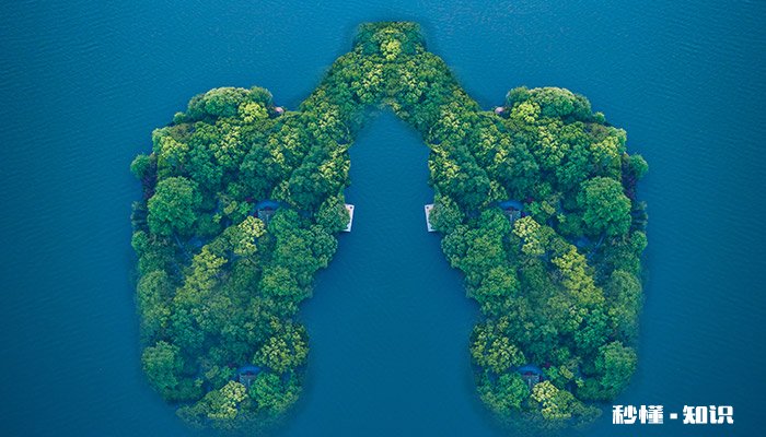 霜降时的植物 霜降时的植物怎么画