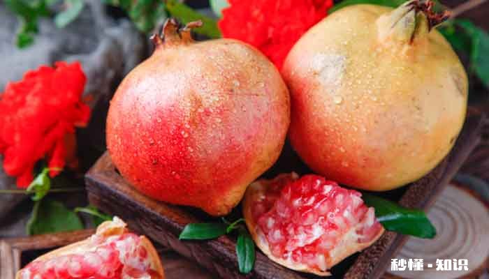 番石榴是什么季节的水果 红心番石榴是什么季节的水果
