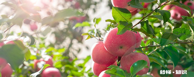 霜降第几个节气 霜降节气的特点