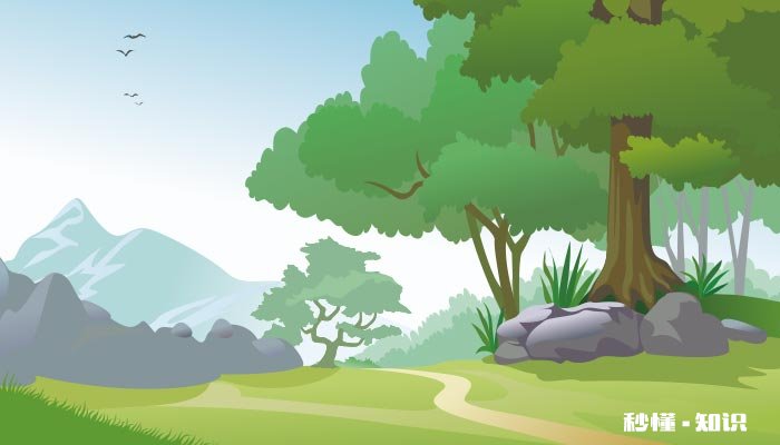 植物油是什么 植物油是什么组成的