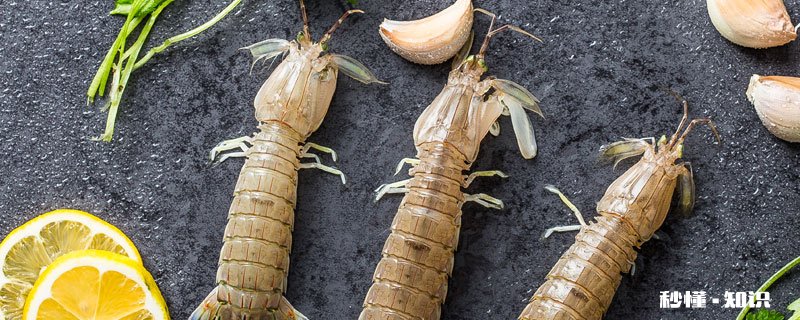 皮皮虾做之前怎么清洗 皮皮虾干怎么做