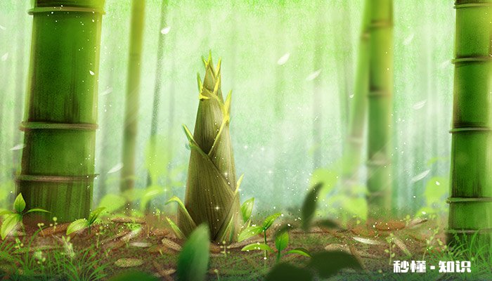 家里的竹子怎么养 家里养的竹子用什么肥料最好