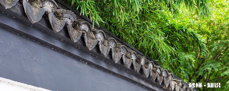 家里的竹子怎么养 家里养的竹子用什么肥料最好