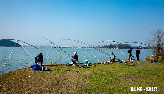 霜降好钓鲫鱼吗 霜降夜钓还能钓鲫鱼吗