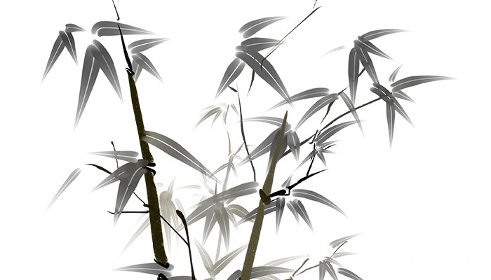 竹代表的意义与象征 白色代表什么意义和象征