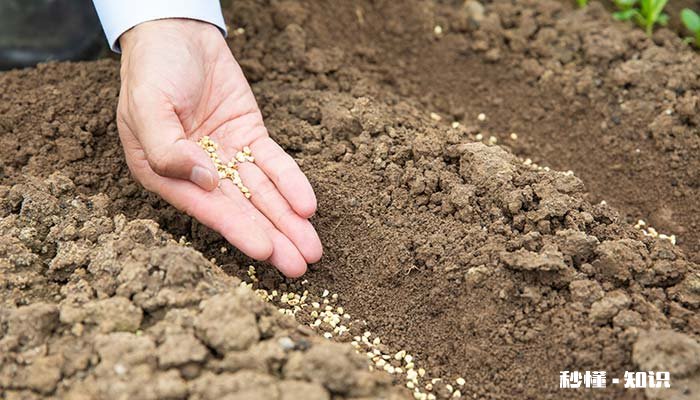 华北平原的土壤是什么 华北平原的土壤是什么图片