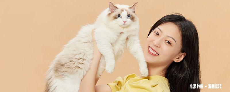 猫会吃柠檬吗 猫吃柠檬会怎么样