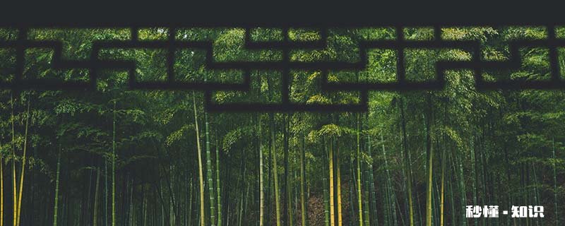 竹子象征着什么意义 梅花竹子象征着什么意义