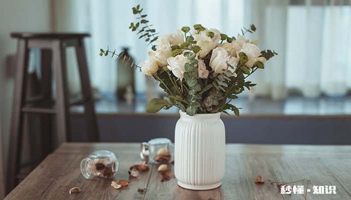花土里生虫子怎么办 种花的土里面有了虫子怎么处理