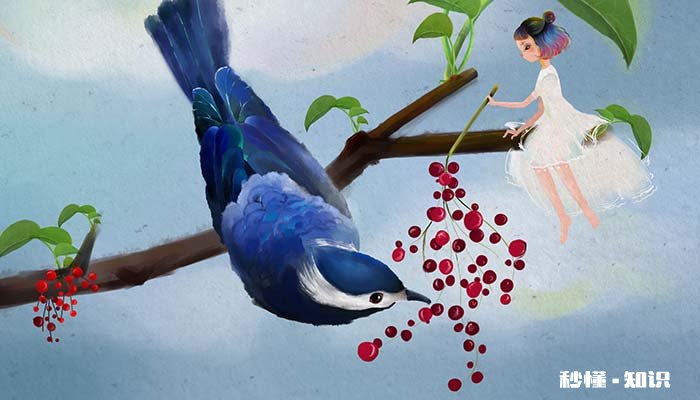 和尚鹦鹉有几种颜色 和尚鹦鹉相当于人几岁