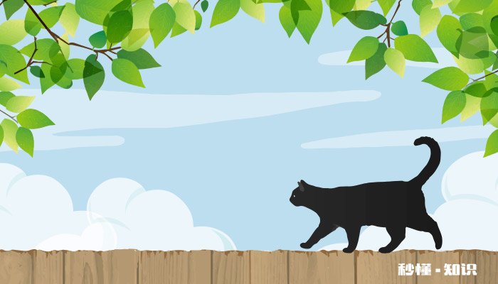 黑颜色的热带鱼都有哪些 黑颜色的热带鱼有什么鱼