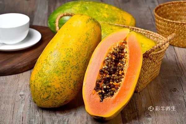 吃木耳菜的禁忌 吃木耳菜的注意事项有哪些