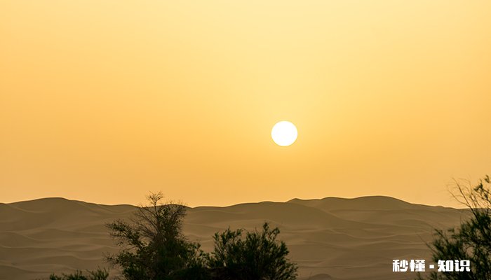 什么是沙土 什么是沙土,是沙子和土吗