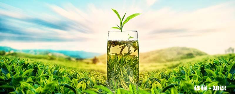 茶有什么味道 什么茶有香味