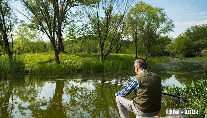 霜降节气的日长 霜降节气养生