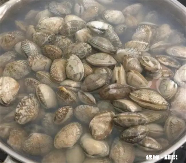 花甲吃着有沙子正常吗 花甲为什么吃着有沙子感觉