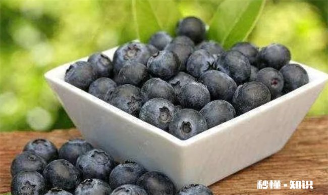 蓝莓表面的白霜是农药残留吗 葡萄表面的白霜是农药残留吗