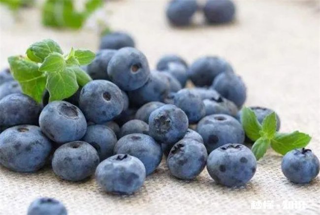 蓝莓表面的白霜是农药残留吗 葡萄表面的白霜是农药残留吗