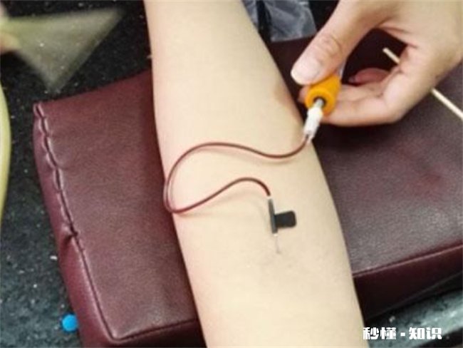 2022年7月怀孕到明年什么时候生 2022年7月怀孕到明年什么时候生属什么