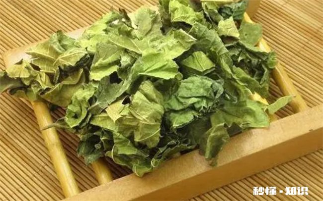 男人喝多了桑叶影响性功能吗