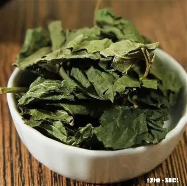 男人喝多了桑叶影响性功能吗